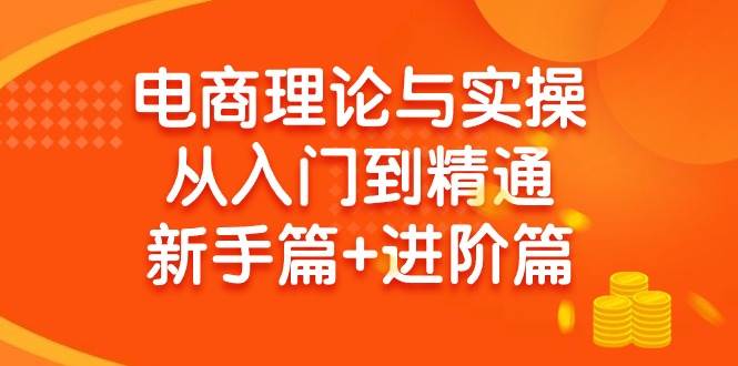 电商理论与实操从入门到精通 新手篇+进阶篇-PONCC-Ai时代