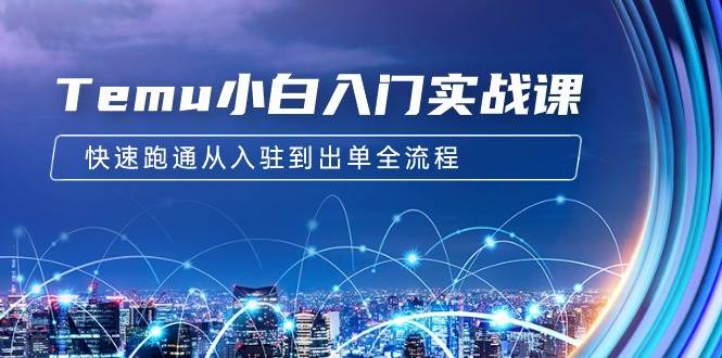Temu小白入门实战课：跨境拼多多电商培训 快速跑通从入驻到出单全流程-12节-PONCC-Ai时代