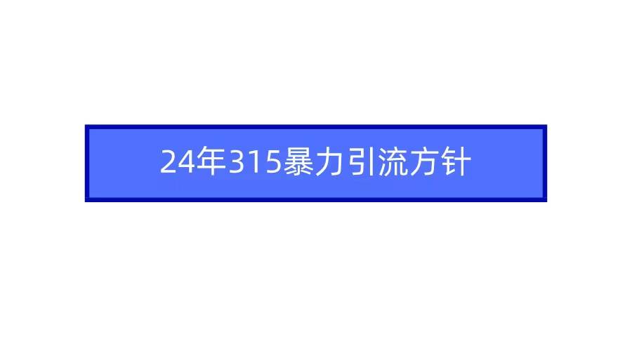 2024年315暴力引流方针-PONCC-Ai时代