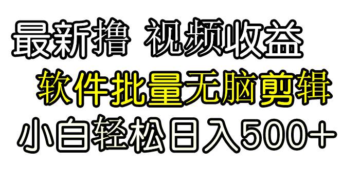 发视频撸收益，软件无脑批量剪辑，第一天发第二天就有钱-PONCC-Ai时代