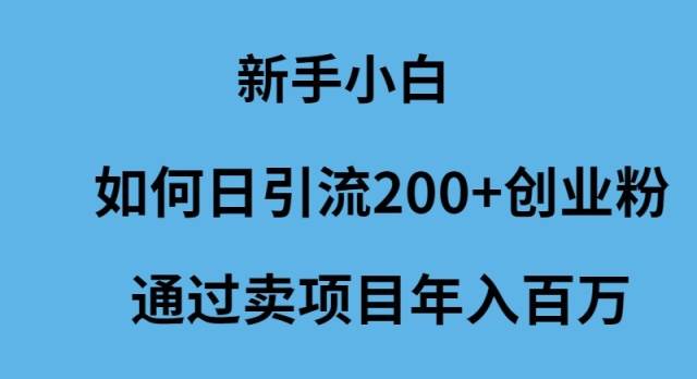 新手小白如何日引流200+创业粉通过卖项目年入百万-PONCC-Ai时代