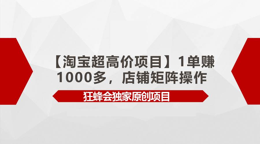 【淘宝超高价项目】1单赚1000多，店铺矩阵操作-PONCC-Ai时代
