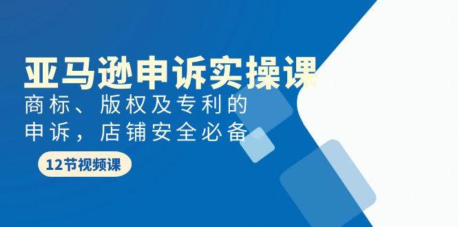 亚马逊-申诉实战课，商标、版权及专利的申诉，店铺安全必备-最新项目