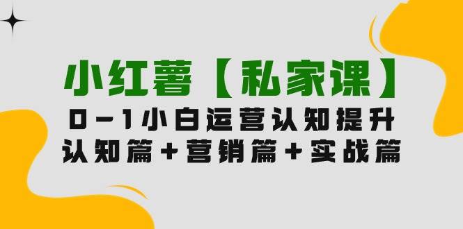 小红薯【私家课】0-1玩赚小红书内容营销，认知篇+营销篇+实战篇（11节课）-PONCC-Ai时代