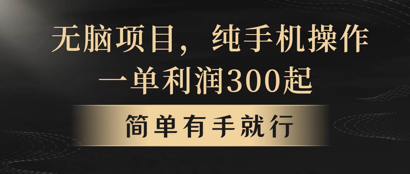 无脑项目，一单几百块，轻松月入5w+，看完就能直接操作-PONCC-Ai时代