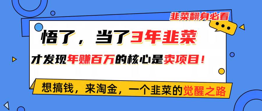 悟了，当了3年韭菜，才发现网赚圈年赚100万的核心是卖项目，含泪分享！-PONCC-Ai时代