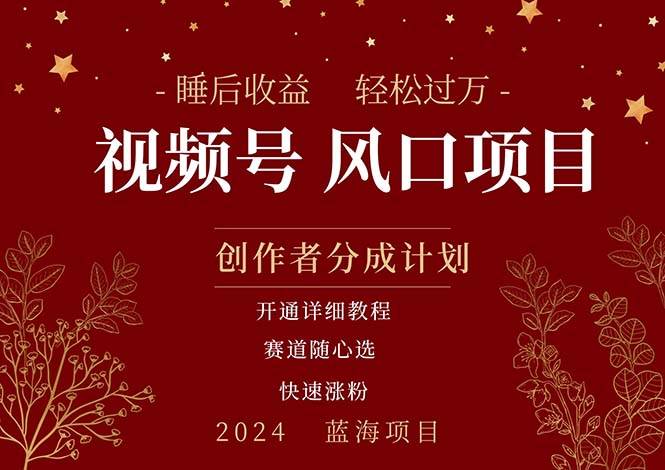 拥有睡眠收益的微信视频号大风口项目，轻松月入过万+，多赛道选择，可…-PONCC-Ai时代