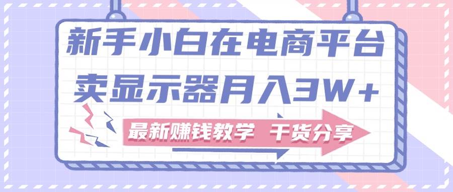 新手小白如何做到在电商平台卖显示器月入3W+，最新赚钱教学干货分享-PONCC-Ai时代