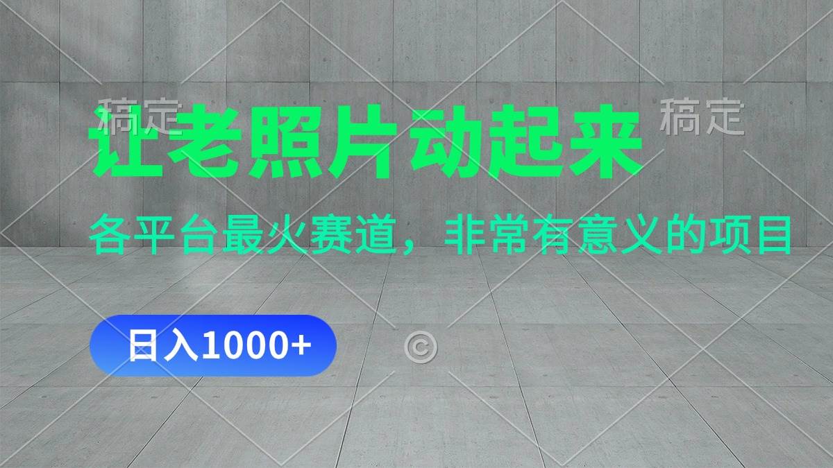 让老照片动起来，一天变现1000+，各平台最火赛道，看完就会-PONCC-Ai时代