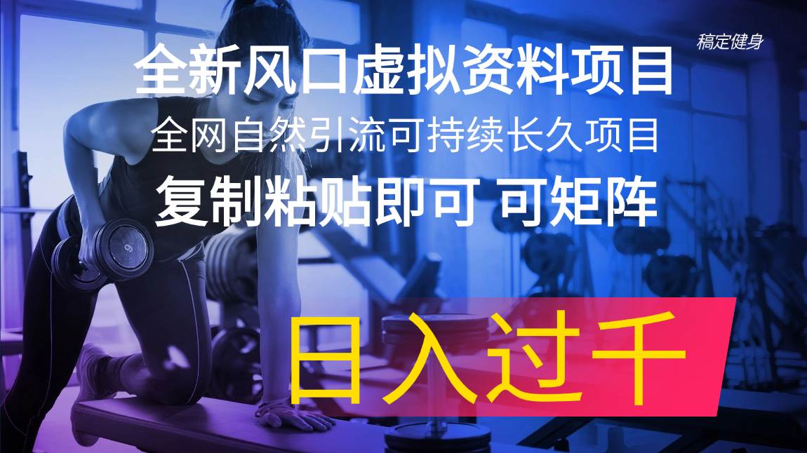 全新风口虚拟资料项目 全网自然引流可持续长久项目 复制粘贴即可可矩阵…-PONCC-Ai时代