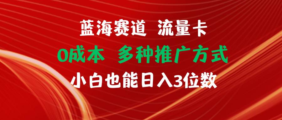 蓝海赛道 流量卡 0成本 小白也能日入三位数-最新项目