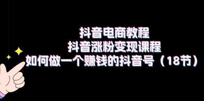 抖音电商教程：抖音涨粉变现课程：如何做一个赚钱的抖音号（18节）-PONCC-Ai时代