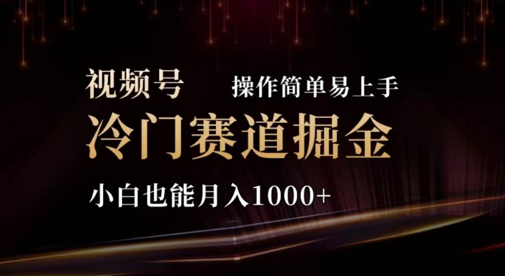 2024视频号冷门赛道掘金，操作简单轻松上手，小白也能月入1000+-PONCC-Ai时代