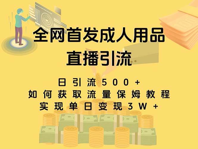 最新全网独创首发，成人用品直播引流获客暴力玩法，单日变现3w保姆级教程-PONCC-Ai时代