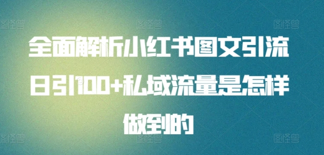日引流100私域流量小红书图文是怎样做到的全面解析-PONCC-Ai时代