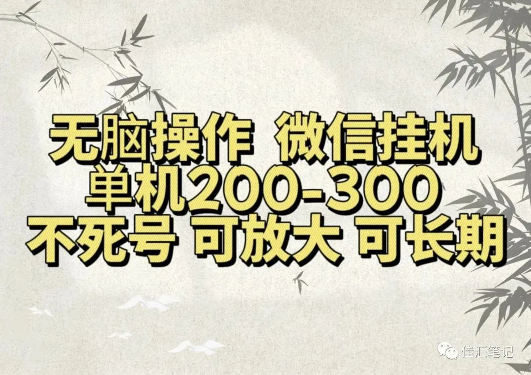 无脑操作微信视频号挂机单机200-300一天，不死号，可放大，工作室实测-PONCC-Ai时代