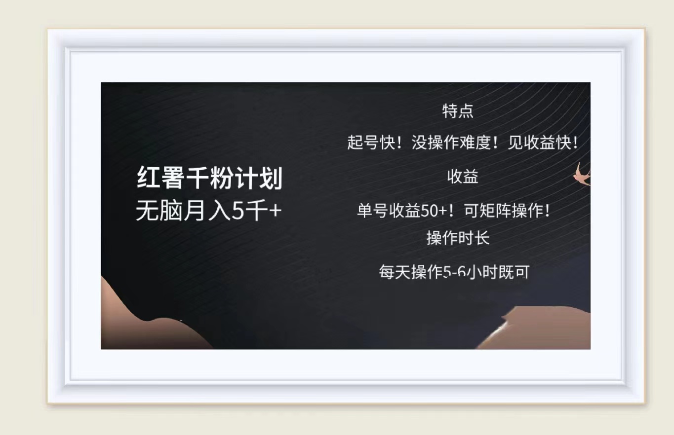 红薯千粉计划无脑月入5千➕！既做既赚！-PONCC-Ai时代